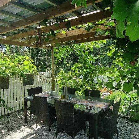 Pheasant Lodge Paparoa Exterior photo